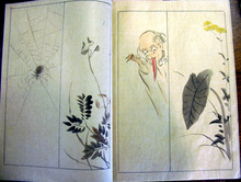 japanese sketchbooks4.jpg